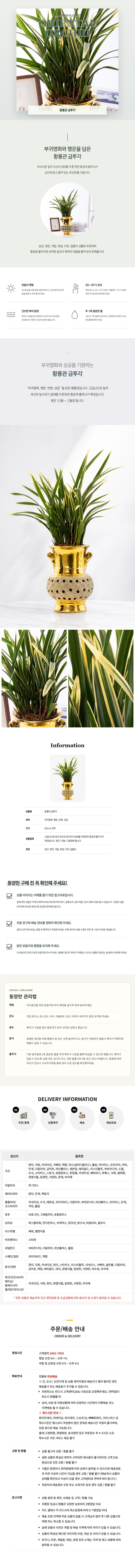 jw_oriental_029_hwangryonggwan_gold_tugak_detail_260622.jpg jw_oriental_029_hwangryonggwan_gold_tugak_detail_260622.jpg