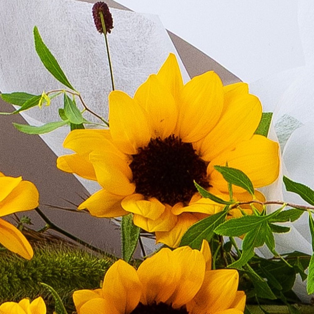 나의 햇살