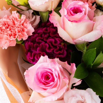 청초한 오후