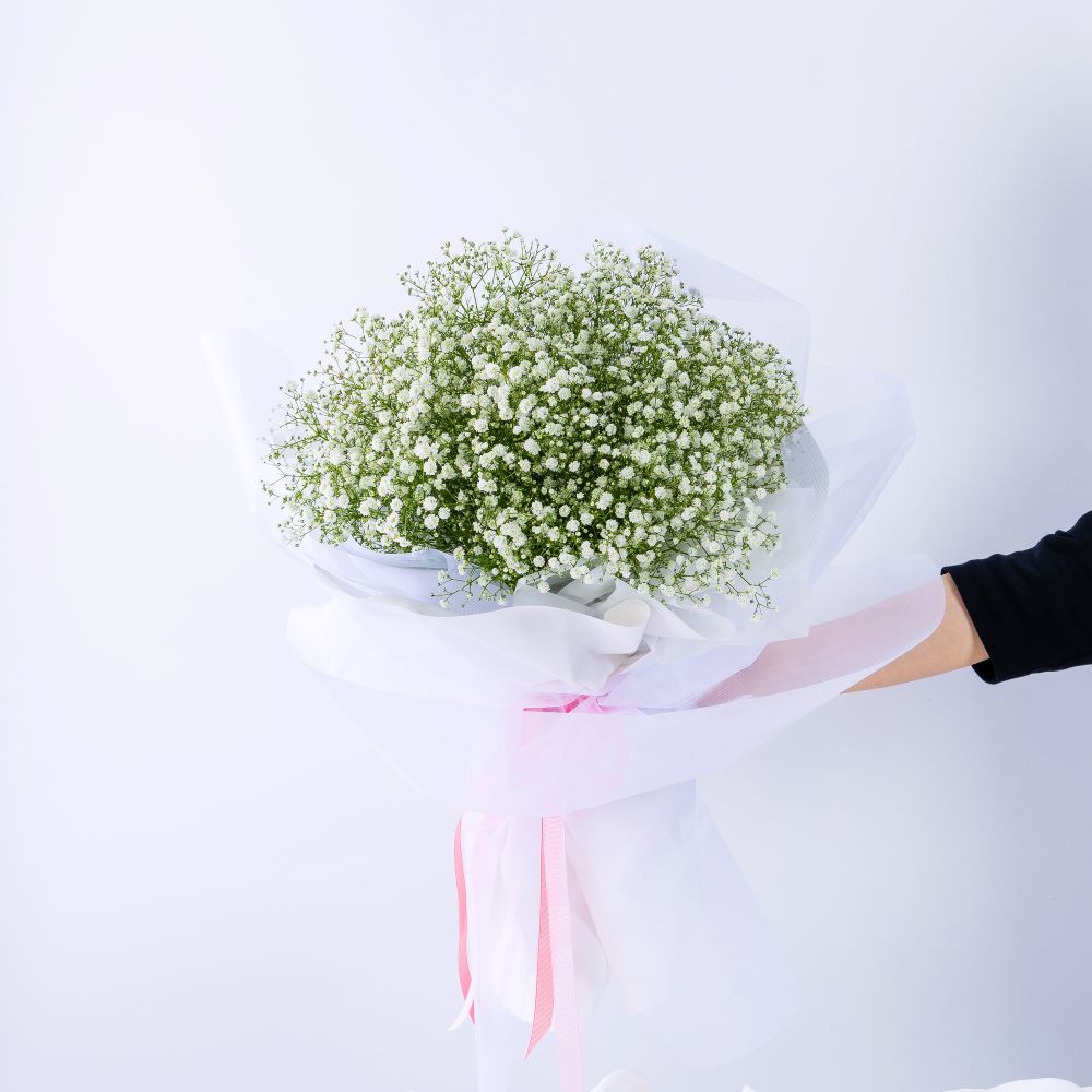 코튼캔디 안개꽃