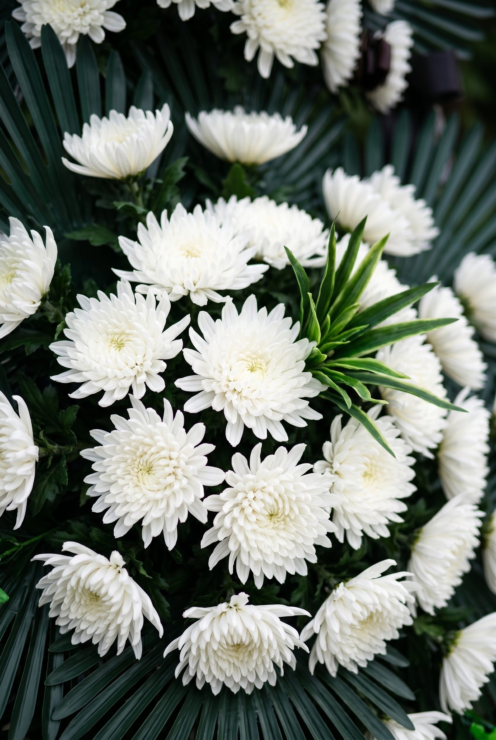 근조 3단 화환 B