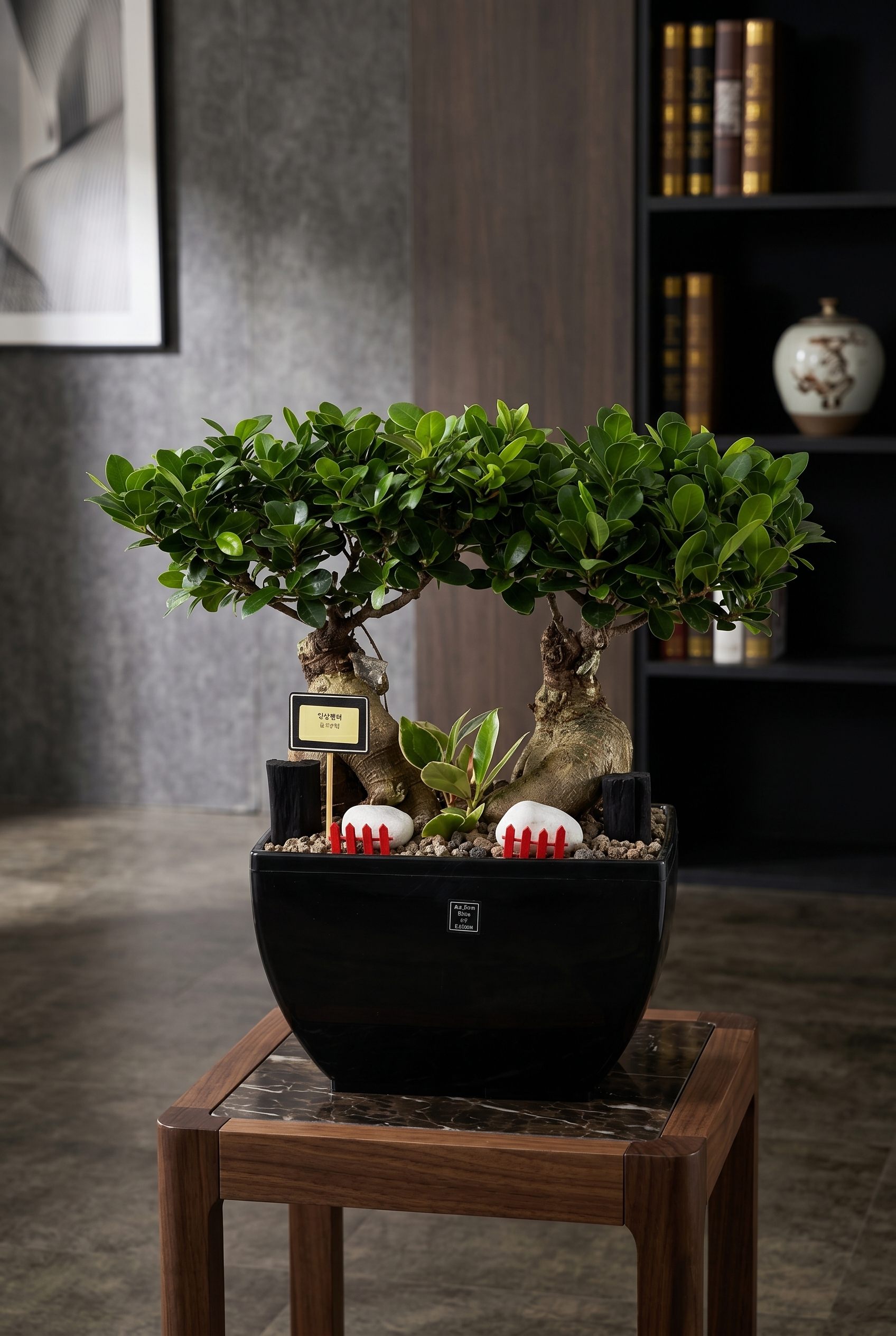 인삼팬더 (Ginseng Panda)