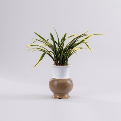 황금일향 고급 (서울배송)
